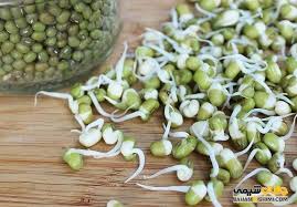 تصویر 1 از شرایط خرید به صرفه کنسرو جوانه ماش 420 گرمی + قیمت اقتصادی و ارزان